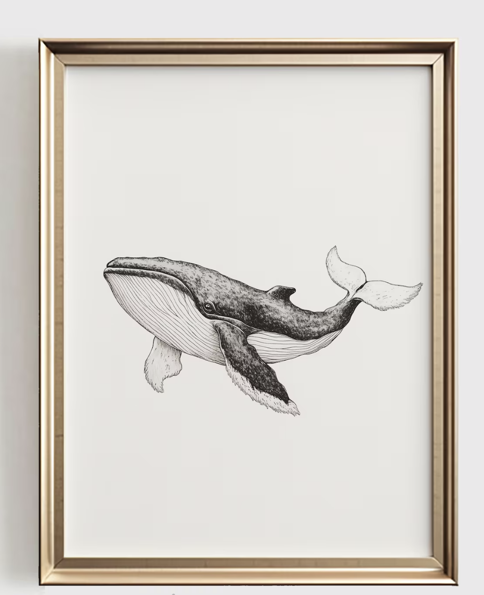 Whale Line Art Print, minimali - Baby Nursery Kids recensie en prijs